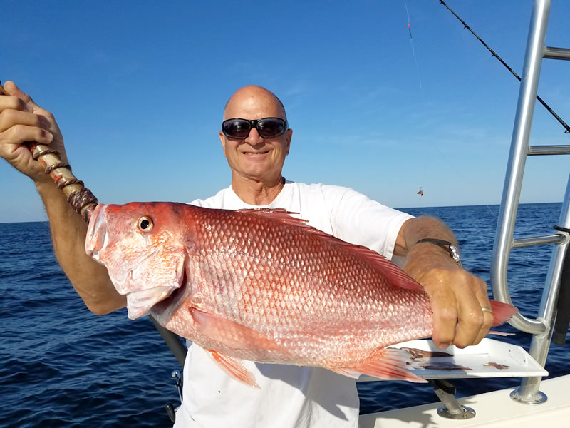 Destin Fishing Season Chart